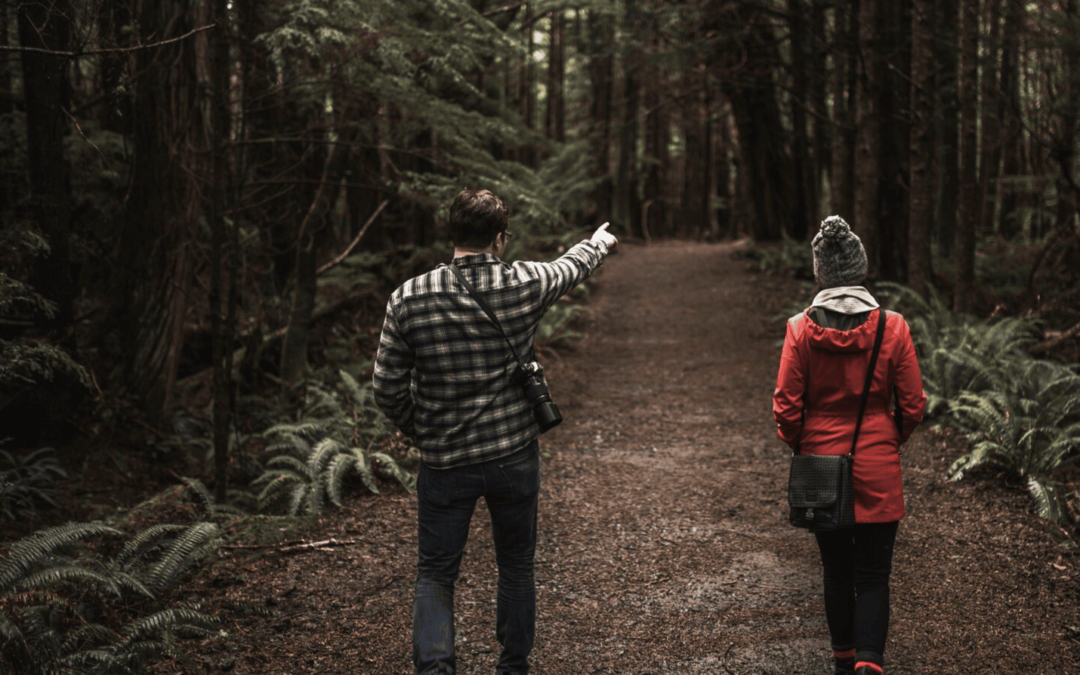 Best Hiking Trails in Southern NH (for Every Skill Level & Season)