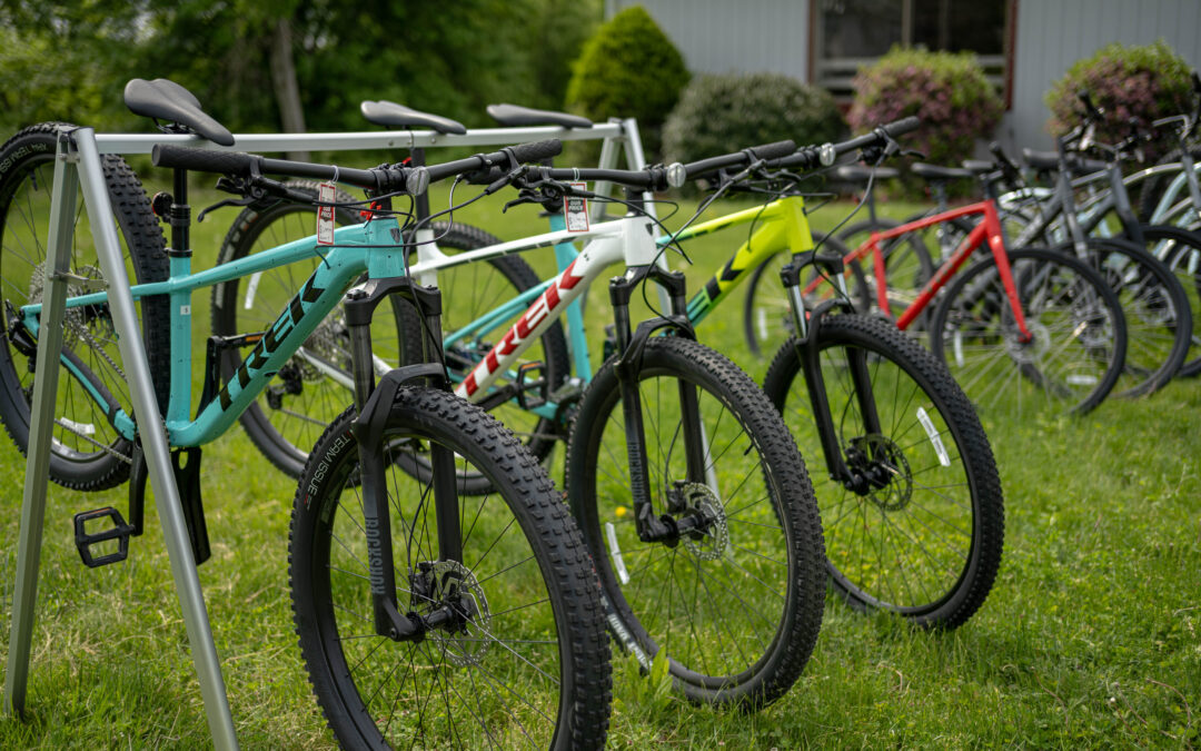 Best Bikes for New England: A Local Rider’s Guide to the Right Ride